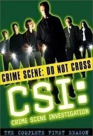 CSI 1ª Temporada