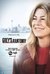 Grey's Anatomy 15ª Temporada Completo