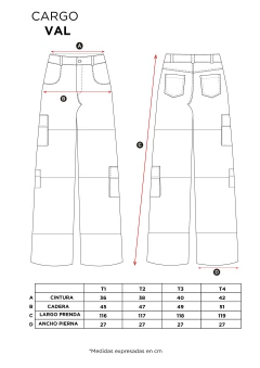 Cargo Val ($195.000 efect/transf) - tienda online