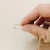 Anillo Intuicion en internet