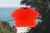 POLO CROP - comprar online