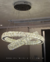 Lustre Pendente de cristal Aliança Dupla com 2 anéis iluminados, ideal para sala de jantar, sala de estar e quartos. Lustres Gênesis loja online de Lustres e Iluminação Decorativa