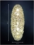 Arandela Dente de Leão 30x20cm em cristal iluminada contra fundo escuro Lustres Gênesis loja online de Lustres e Iluminação Decorativa