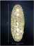 Arandela Dente de Leão 30x20cm em cristal iluminada contra fundo escuro Lustres Gênesis loja online de Lustres e Iluminação Decorativa