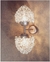 Arandela Dente de Leão Dupla em cristal, ideal para cabeceira de cama, lavabo e banheiro. Lustres Gênesis loja online de Lustres e Iluminação Decorativa