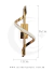 Luminária de parede moderna dourada, modelo Spiral de LED 4000k da Nitrolux, com 36 cm de altura e 13 cm de largura. Lustres Gênesis Site online venda de Lustres e Iluminação