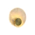 Arandela Moderno Missy de LED com design elegante e acabamento dourado. Lustres Gênesis Site online venda de Lustres e Iluminação