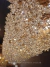 Lustre pendente de cristal retangular com design sofisticado, ideal para salas de jantar e estar. Lustre pendente de cristal retangular Linha dente de leão Ninho, ideal para salas de jantar e estar. Comprar lustre na Gênesis Online