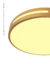Plafon Moderno Supren Dourado para Quartos, Sala de Estar, Hall de Entrada, Escritório, Lavabos e Sala de Jantar - Nitrolux o SPR-001D o 5833 - loja online