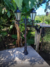 Poste Colonial Aluminium IX Rustico para áreas externas, com duas luminárias, ideal para jardins e fazendas, da marca Incolustres.