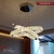 Lustre Pendente de Cristal Aliança Dupla 2 Anéis LED, modelo DCD00102 da Sindora, instalado em teto de sala de estar moderna.  O melhor site de lustre e Iluminação decorativa Lustres Gênesis lustre pé direito duplo 3m