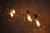 Lustre pendente Sarvah com 36 globos transparentes iluminados. Lustres Gênesis loja online de Lustres e Iluminação Decorativa. 