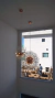 Lustre pendente de cristal moderno Sunshine Ø50cm na cor rose gold, ideal para quartos, cabeceira de cama, sala de estar e lavabo. DCD00761   Lustres Gênesis - o melhore site da Internet para comprar Lustre