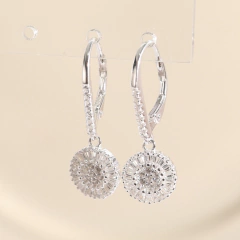 AROS ENIRA en internet