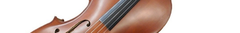 Banner de la categoría Contrabajo