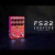 PEDAL DE EFECTO PARA GUITARRA FLAMMA FS22 REVERB DELAY