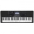 Teclado Casio CT-X800 sensitivo