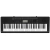 Teclado Casio CTK-3500 5 octavas sensitivo
