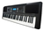 Teclado Yamaha 5 Octavas Sensitivo Psre373 - comprar online