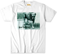 Alice in chains 4