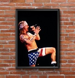 Guns N' Roses 2
