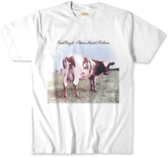 Pink Floyd 20