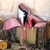 Sakari Vino y Chocolate (40x30x15) - tienda online