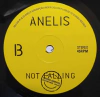 7" Anelis Assumpcao/Victor Rice - Not Falling/Not Falling Dub [NM] - comprar online