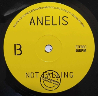 7" Anelis Assumpcao/Victor Rice - Not Falling/Not Falling Dub [NM] - comprar online