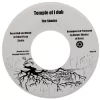 7" Ras Ico & the Shades - Search Within Yourself/Temple Of I Dub [NM] - comprar online