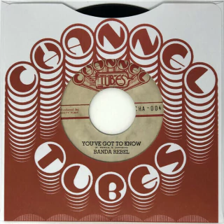 7" Rocker T w. Maddie Ruthless/Banda Rebel - Fiyah Pan Racism/You've Got to Learn [NM] - loja online