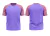 Camiseta Raglan Lilás - loja online