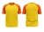 Camiseta Raglan Amarelo Ouro na internet