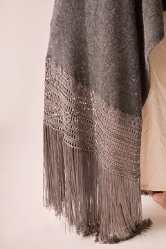 Chal Tromen en internet