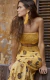 Banner de Solangem