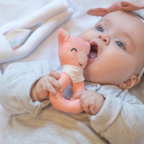 sonajeros animales AMITINOS - comprar online