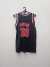 Chicago 1993 #33 Pippen Talle 14 (45 x 67 cm) on internet