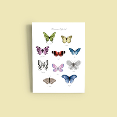 Quadro Butterfly Eras (Taylor Swift) na internet
