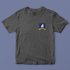 Camiseta AFC (Ted Lasso)