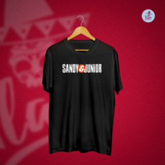 Camiseta 1995 (Sandy & Junior)