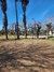 Cancha de Voley 3mts de estacas y Altura Regulable + Cintas Demarcacion - Sportable