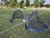 Set de 2 Arcos de red de 1.83x1.22 mts.

Red super resistente de alta tenacidad con Factor UV.

Usos: Futbol, hockey

Ideal  jardín, playa.