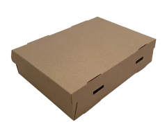Caja 12 empanadas - Pack 10 unidades -