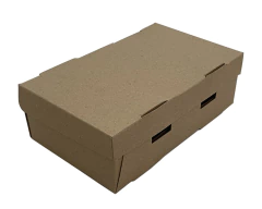 Caja 6 empanadas - Pack 10 unidades -