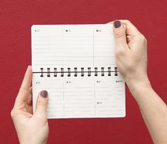 agenda pocket 2025 #11 - SANDIA