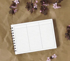 AGENDA GRANDE 2027 #11 - comprar online