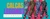 Imagem do banner rotativo 2