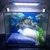 Aquário com luminária e decoração 30 x 17 x 25 cm 12 litros