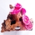 Enfeite Tronco com Coral Plate para Aquário - loja online