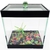 Aquário Beteira Decorada 15x15x10cm - Pet Shop Online MF Aquarium - Produtos para Aquários e Pet